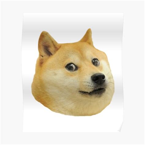 Doge Poster For Sale By Doduegeek Redbubble