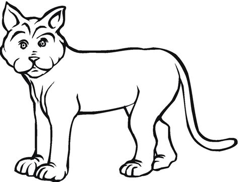 Coloring Pages Bobcat Printable For Kids And Adults Free