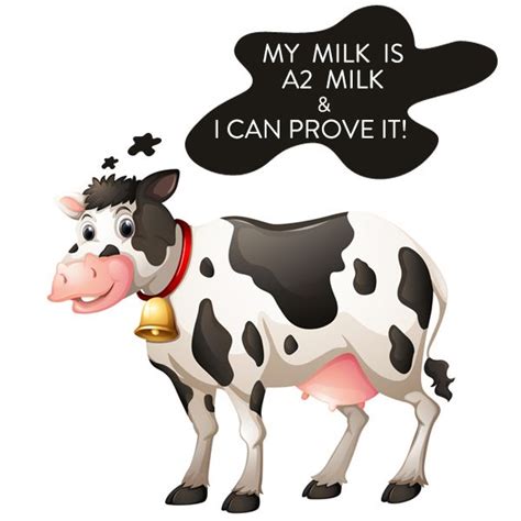 Myth Only Indian Cows Give A2 Milk Wrong Hf Cow Cow Milk Production