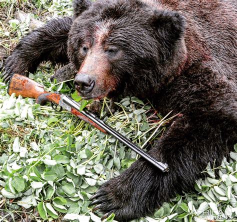 Bear Hunting With Merkel 375 Handh 140ae Double Rifle