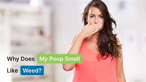 Why Does My Poop Smell Like Weed Healthy Active