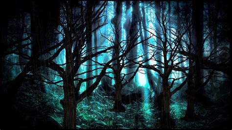 1080p Dark Forest Background Hd Eumolpo Wallpapers