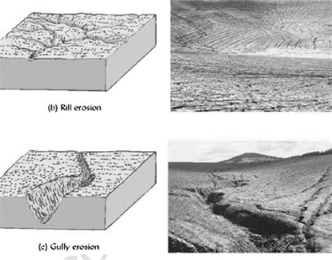 The 4 Types Of Erosion