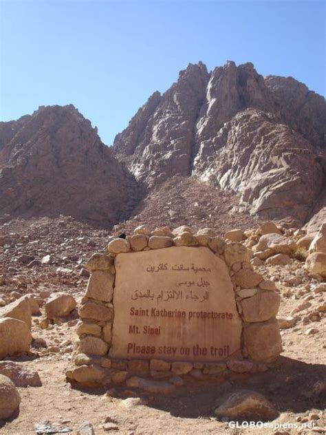 24 The Exodus Flight From Egypt Ideas Egypt Exodus Mount Sinai