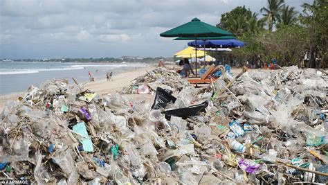 Balis Pristine Beaches Have Turned Into Garbage Dumps As The Island