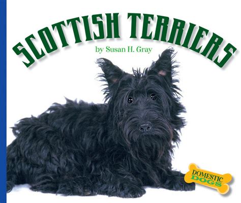 Scottish Terriers The Childs World