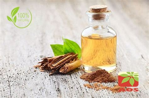 Cinnamon Leaf Oil Uses Benefits Aos Products Manufacturer