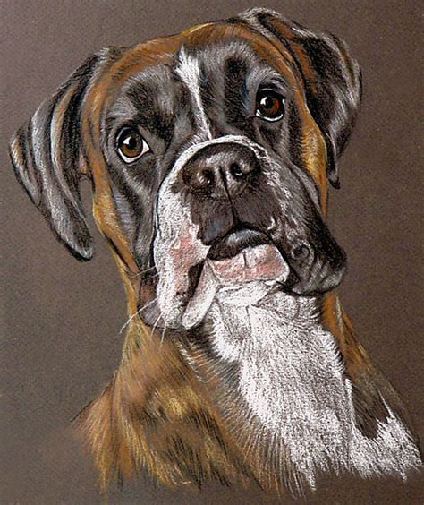 Boxer Drawing Boxer Dogs Art Boxer Puppies Dogs And Puppies Brindle