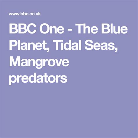 Bbc One The Blue Planet Tidal Seas Mangrove Predators Spring Tide