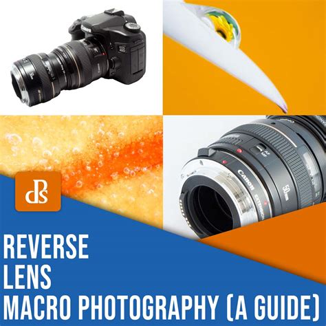 Reverse Lens Macro Photography A Beginners Guide
