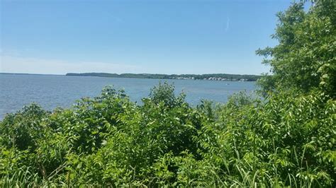 It's grasslands, meadows and marshes attract a huge variety of birds, butterflies and mammals. Occoquan Bay National Wildlife Refuge (Woodbridge) - All ...