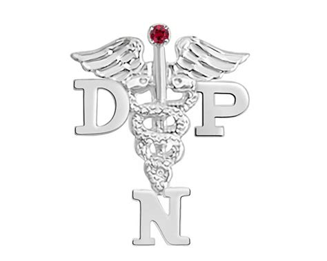Dnp Graduation Nursing Pin 14k White Gold For Doctor Of Nursing