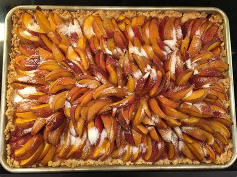 Zwetschekuchen German Plum Tart Recipe Allrecipes