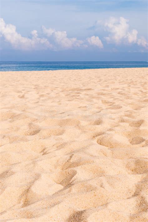 Sand Texture Pattern Beach Sandy Background Stock Image Image Of