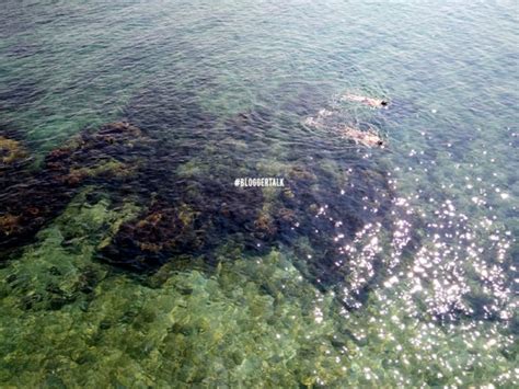 Ia menjadi lokasi percutian bukan sahaja bagi pelancong pulau rawa merupakan salah satu dari gugusan pulau yang indah di laut china selatan di pesisir laut johor, malaysia. 4-Pulau-Cantik-di-Johor-Yang-Perlu-Anda-Pergi - MAGICALIPS