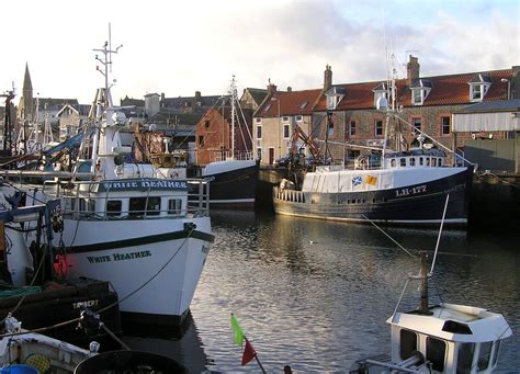 The Harbour At Eyemouth Charles Cuthbert Flickr