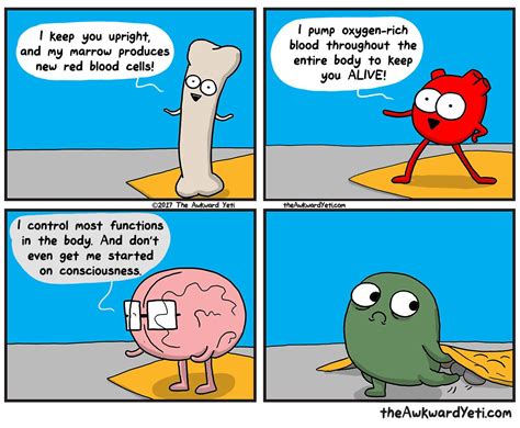 Organs Of The Body Funny Cartoons Funny Comics Funny Jokes Hilarious