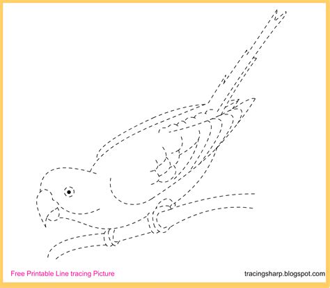 Free Tracing Line Printable Bird Tracing Picture