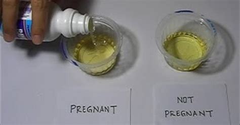 The two primary methods are: 11 Simple Homemade (DIY) Pregnancy Tests: Do They Work?
