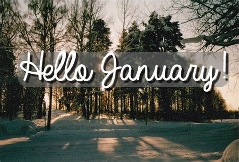 Hello January Goodbye December January Hello January January Quotes