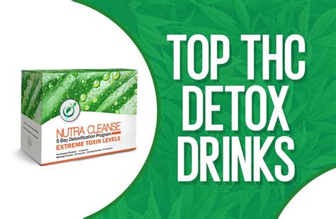 Top 8 Thc Detox Drinks Clear Your System And Start Your Detox 2023