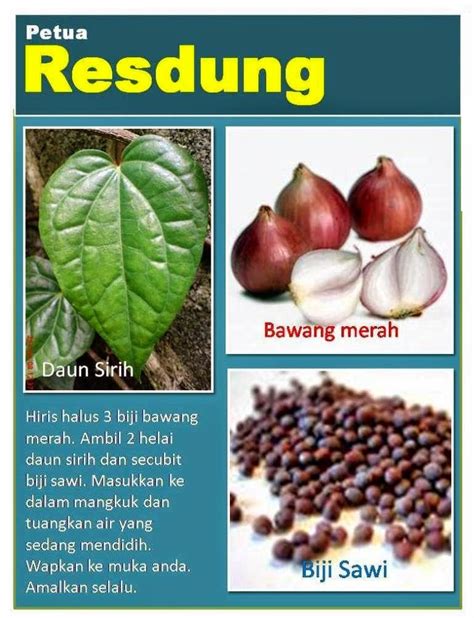 Dirumus secara tradisional dan semulajadi dengan ekstrak pokok butyrospermum parkii. Ubat Resdung Mujarab Selamat Lulus KKM - Herba Resdung Tok ...