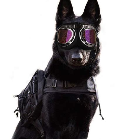 Large Dog Sunglasses Foldable In 2020 Dog Sunglasses Dog With