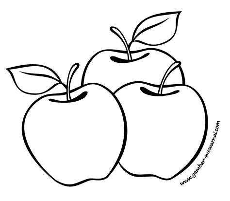 Gambar sketsa buah apel mania yakni mewarnai coloringpages. Kumpulan Contoh Gambar Sketsa Daun Apel - Informasi Masa Kini
