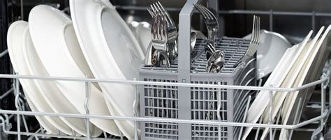 Follow this quick fix to clear the air. What Causes Those Bad Dishwasher Smells? - Consumer Reports