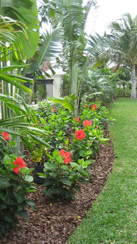 25 Tropical Outdoor Design Ideas Decoration Love Tropical Backyard