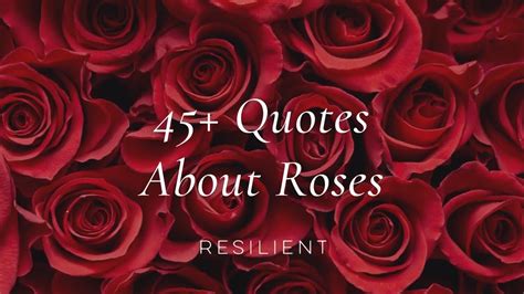 45 Inspirational Rose Quotes Inspirational Quotes About Roses Youtube