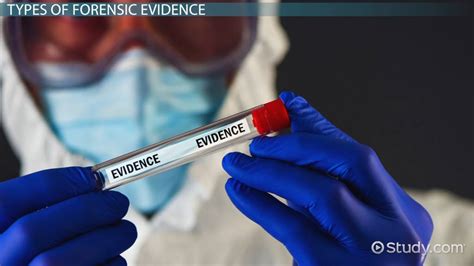 Forensic Evidence Definition Types And Examples Lesson