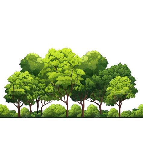 Green Tree Forest Tree Evergreen Forest Png Transparent Image And