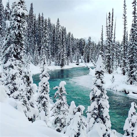 Winter Trails And Trail Reports For Banff And Kananaskis Play Outside