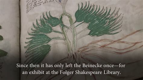 What We Know About The Voynich Manuscript Youtube
