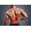 Lower Back Pain Relief With Exercise – Muscle Media Magazine