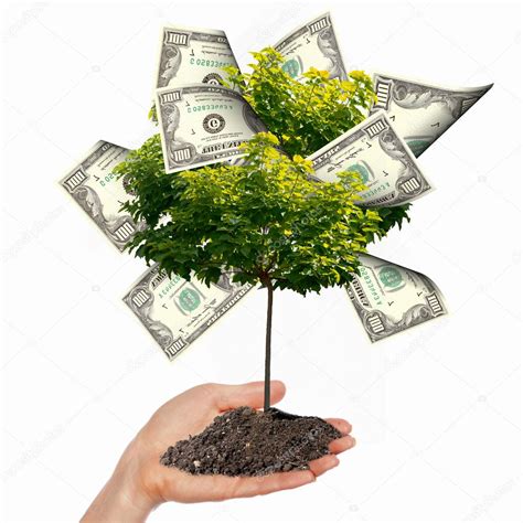 Discover millions of popular & trending #money_plant hashtags. Money Tree — Stock Photo © SergeyNivens #5850187