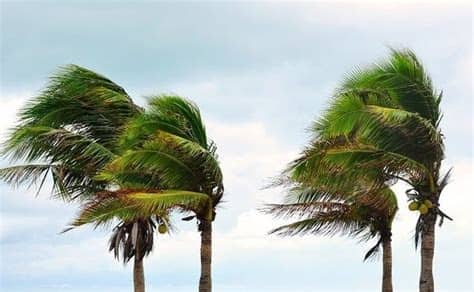 Windy Weekend Weather Forecast for Temecula | Temecula, CA ...