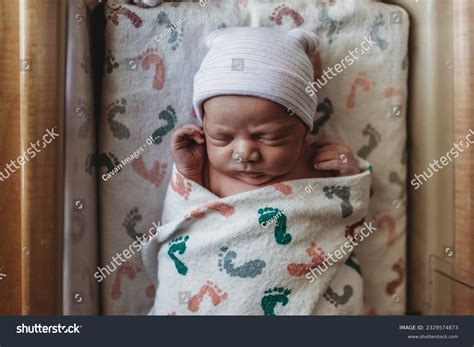 234320 Newborn Nature Images Stock Photos And Vectors Shutterstock