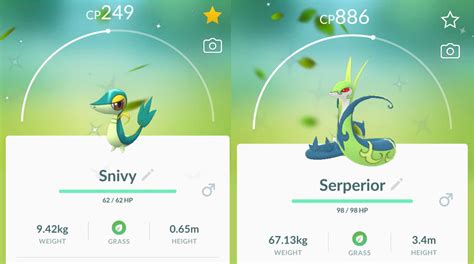 Pokemon Go How To Get The Rare Shiny Snivy Fast Dunia Games