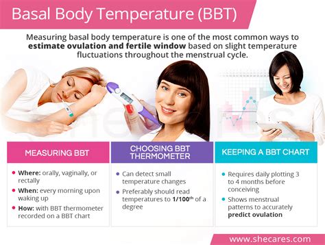 Basal body temperature (bbt or btp) is the lowest body temperature attained during rest (usually during sleep). How To Check Basal Body Temperature At Home - Grizzbye