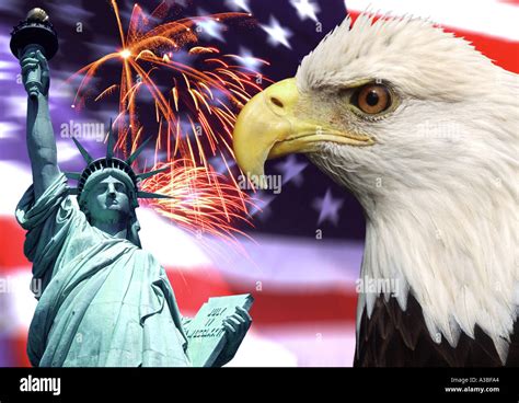 El Patriotismo En Estados Unidos Eagle Fireworks Estatua De La Libertad