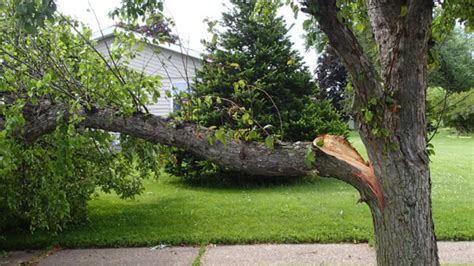 What To Do About Broken Branches