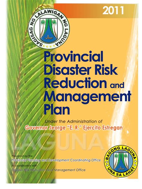 Drrm Plan Laguna 1 Emergency Management Disaster Risk Reduction
