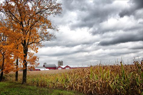 Across The Corn Photograph By Ward Mcginnis Fine Art America