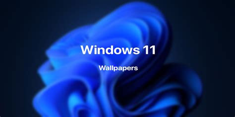 A collection of the top 38 windows 11 wallpapers and backgrounds available for download for free. Download leaked Windows 11 wallpapers - TechEngage