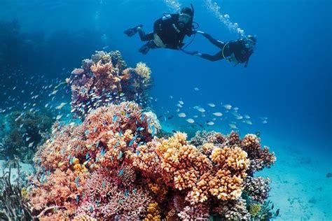 How Deep Is The Great Barrier Reef Diving