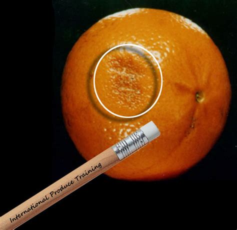 Oranges Skin Breakdown International Produce Training