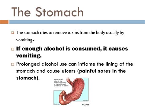 Ppt Alcohol Powerpoint Presentation Free Download Id5461371