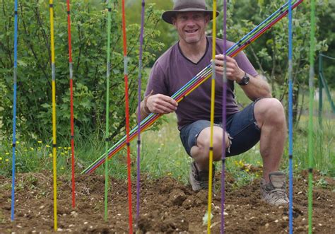 Un Tuteur De Tomates Pliable Et Coloré Inventé Près De Dole